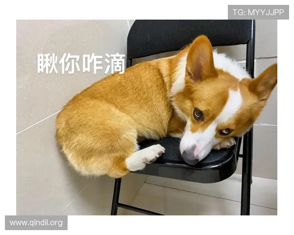 从不屑评论到惹人厌基恩转变史